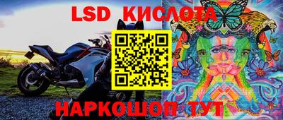 ГАЛЛЮЦИНОГЕННЫЕ ГРИБЫ Конаково