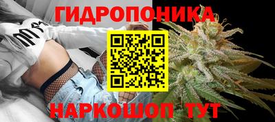 спиды Коммунар