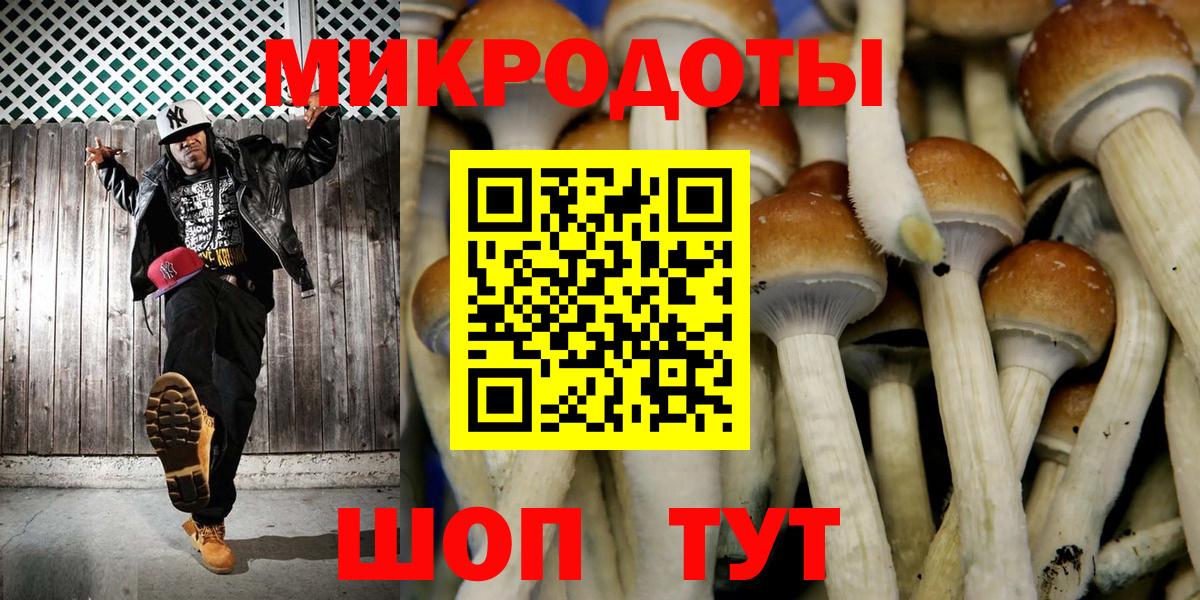 Галлюциногенные грибы Cubensis Камышлов