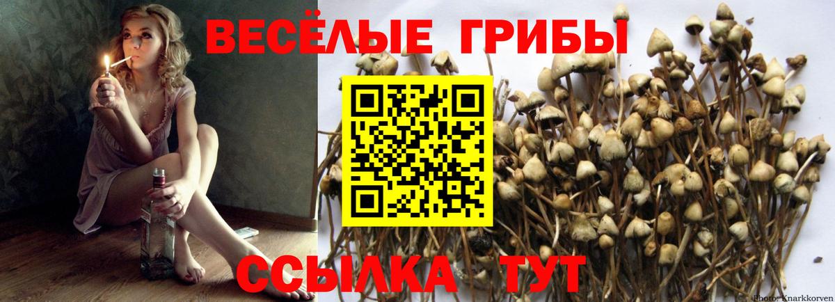 ГАШ  МЕТ  Канабис  Мефедрон   Вход с VPN  Камышлов  Cocaine 