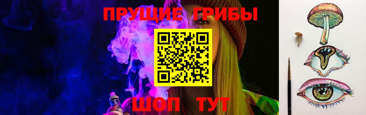 Камышлов  Галлюциногенные грибы прущие грибы  Вход с VPN 